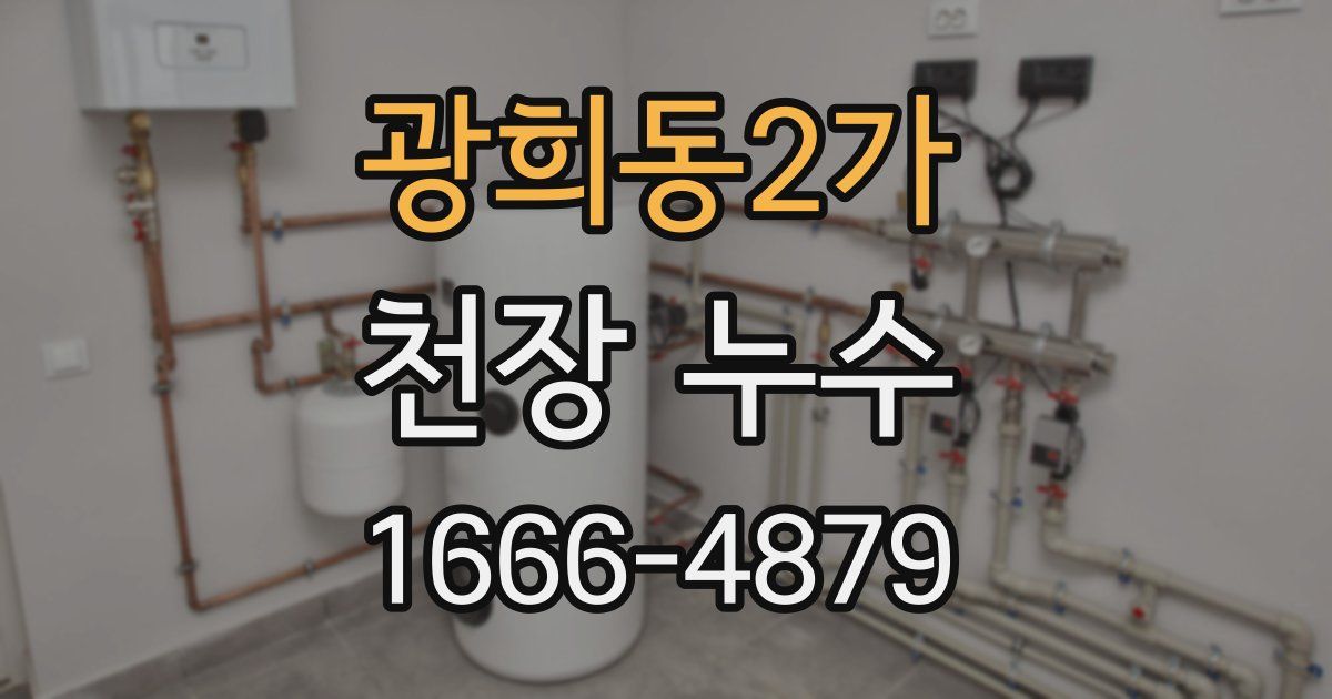 광희동2가 천장 누수