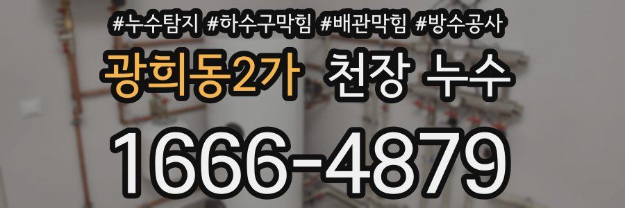 광희동2가 천장 누수