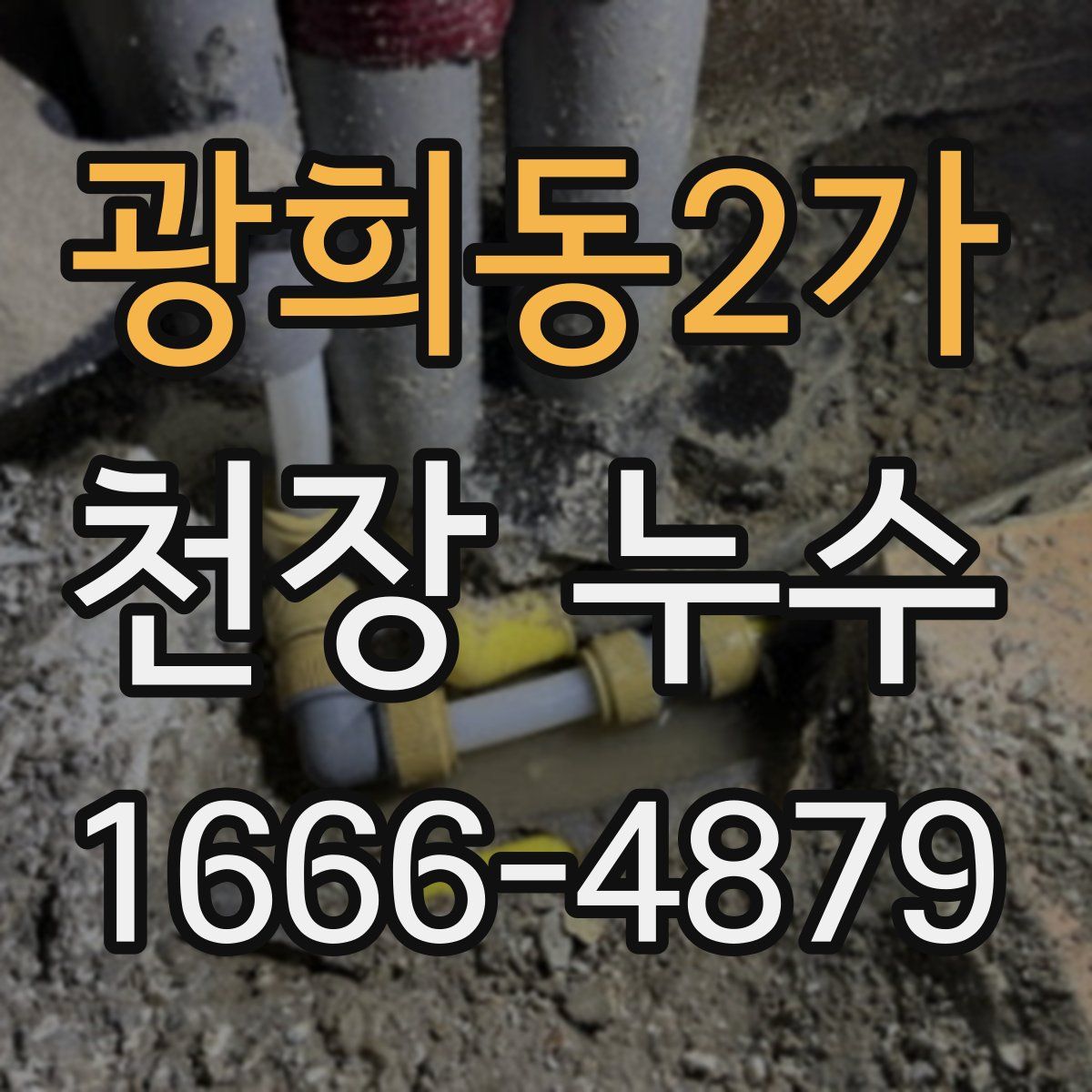 광희동2가 천장 누수