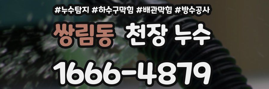 쌍림동 천장 누수
