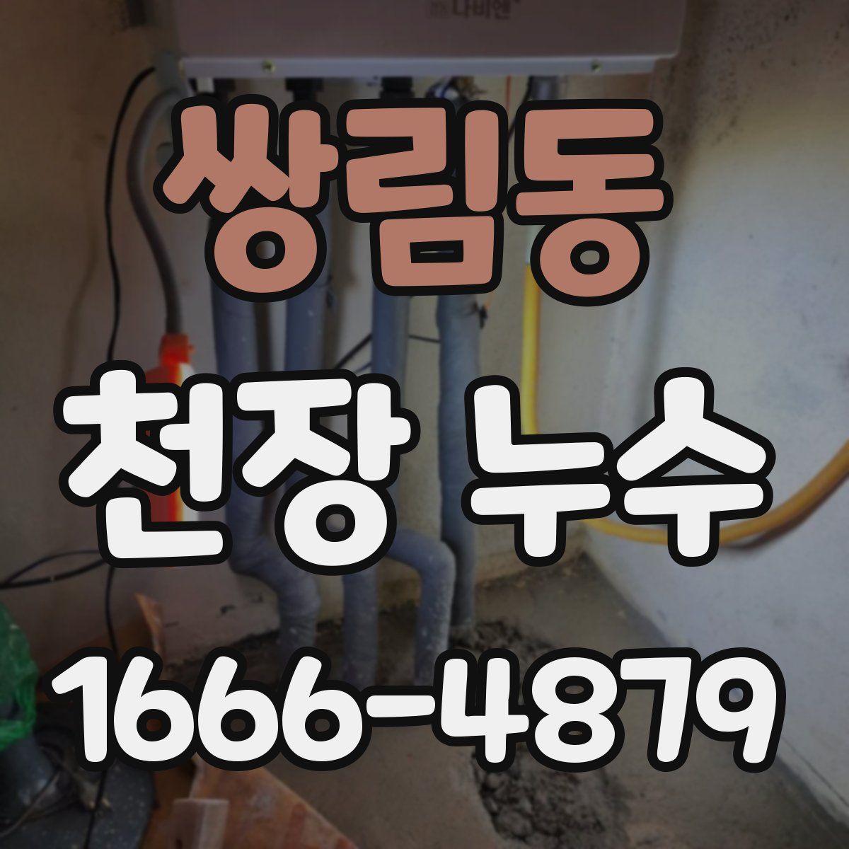 쌍림동 천장 누수