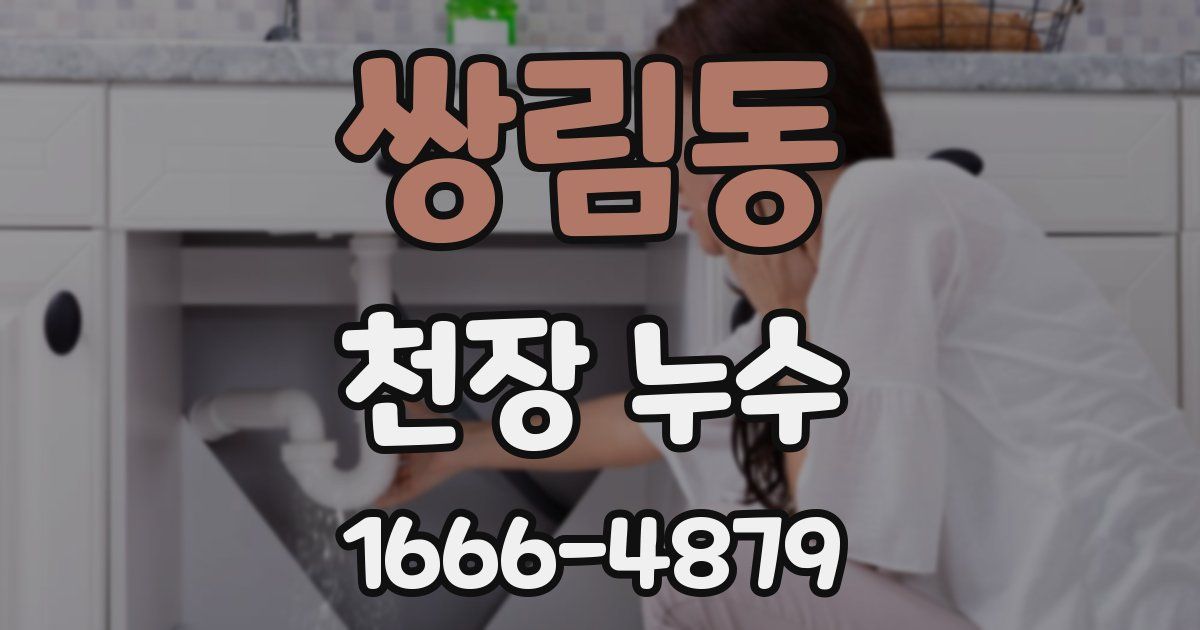 쌍림동 천장 누수