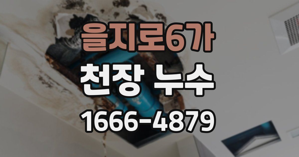 을지로6가 천장 누수