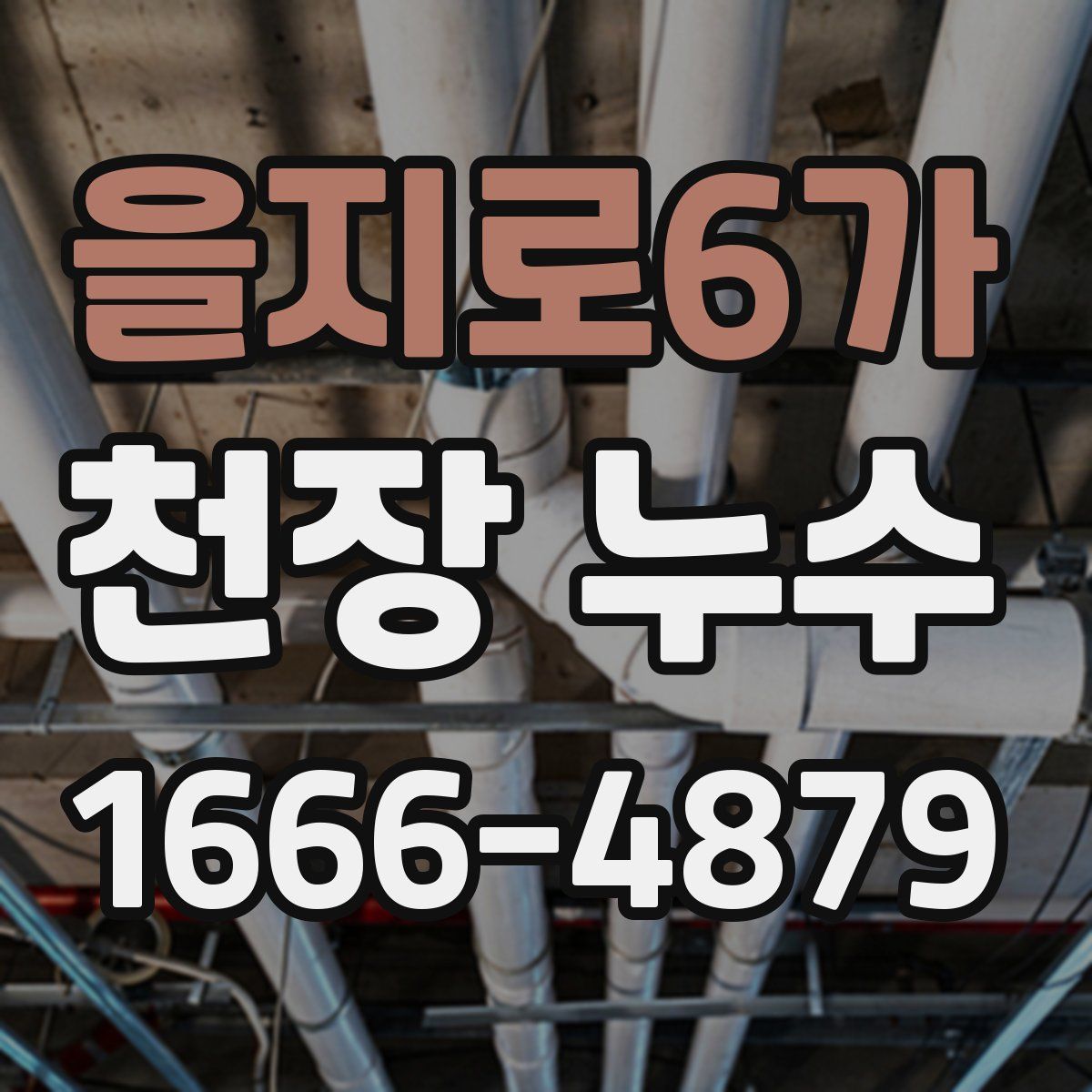 을지로6가 천장 누수