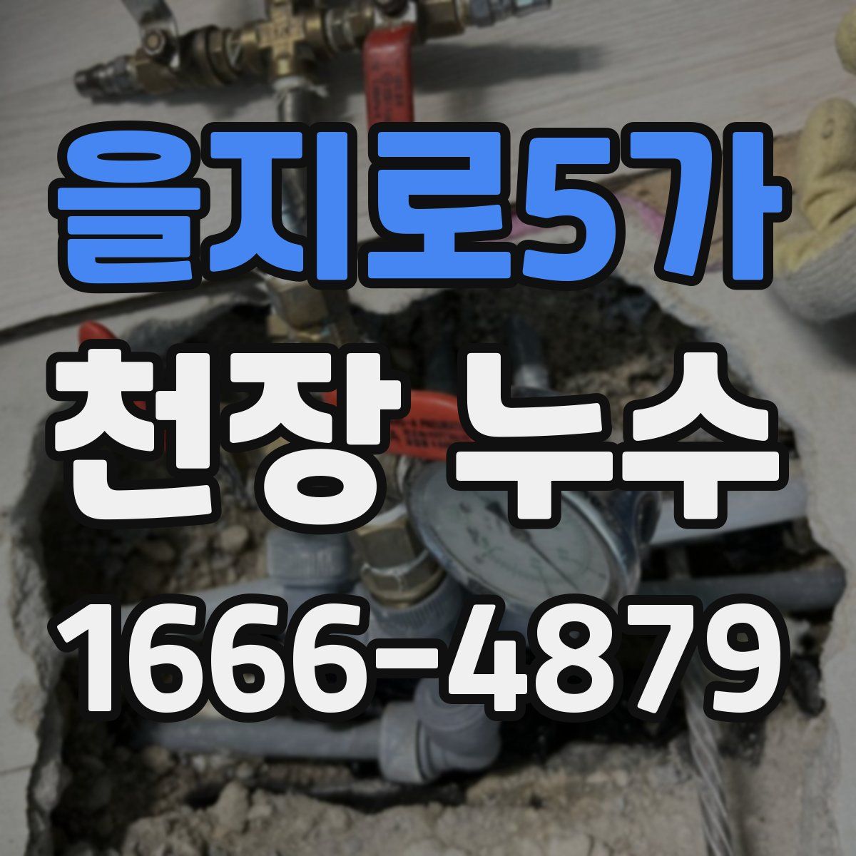 을지로5가 천장 누수