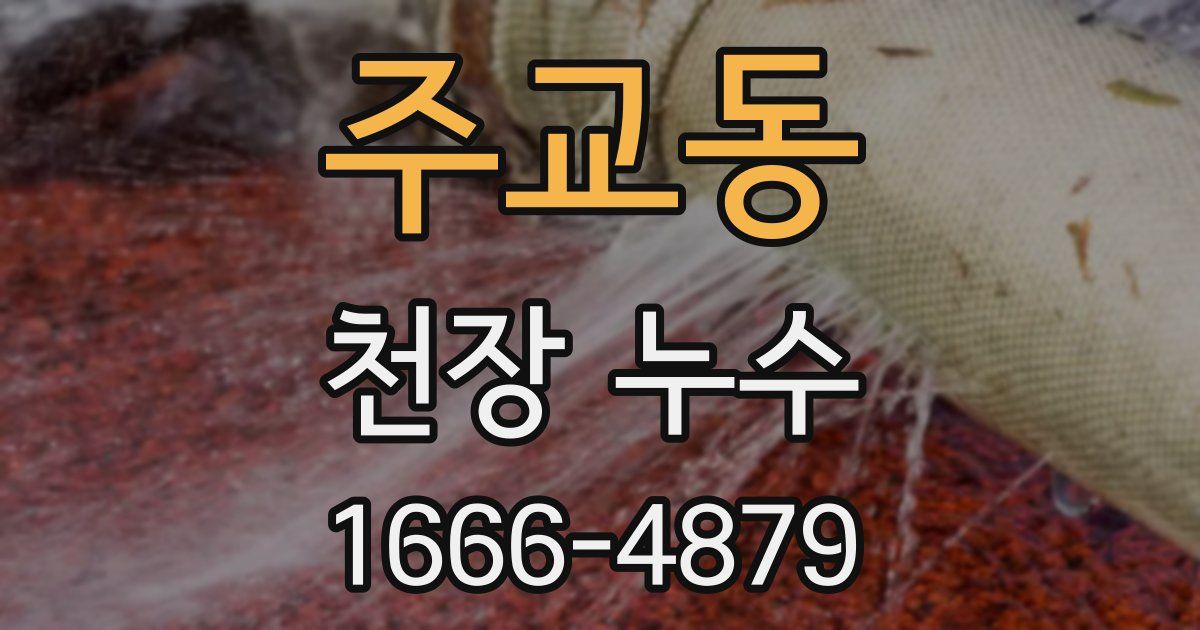 주교동 천장 누수
