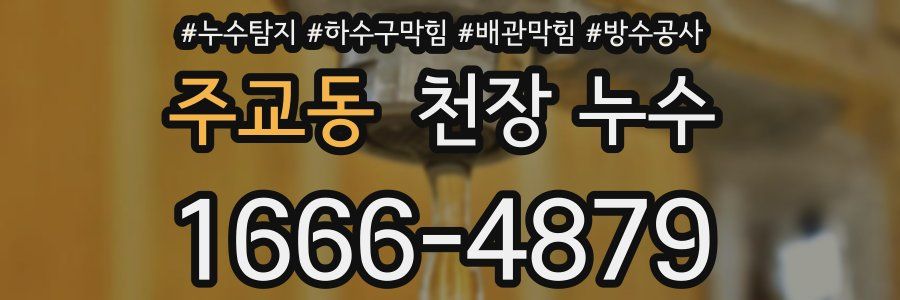 주교동 천장 누수