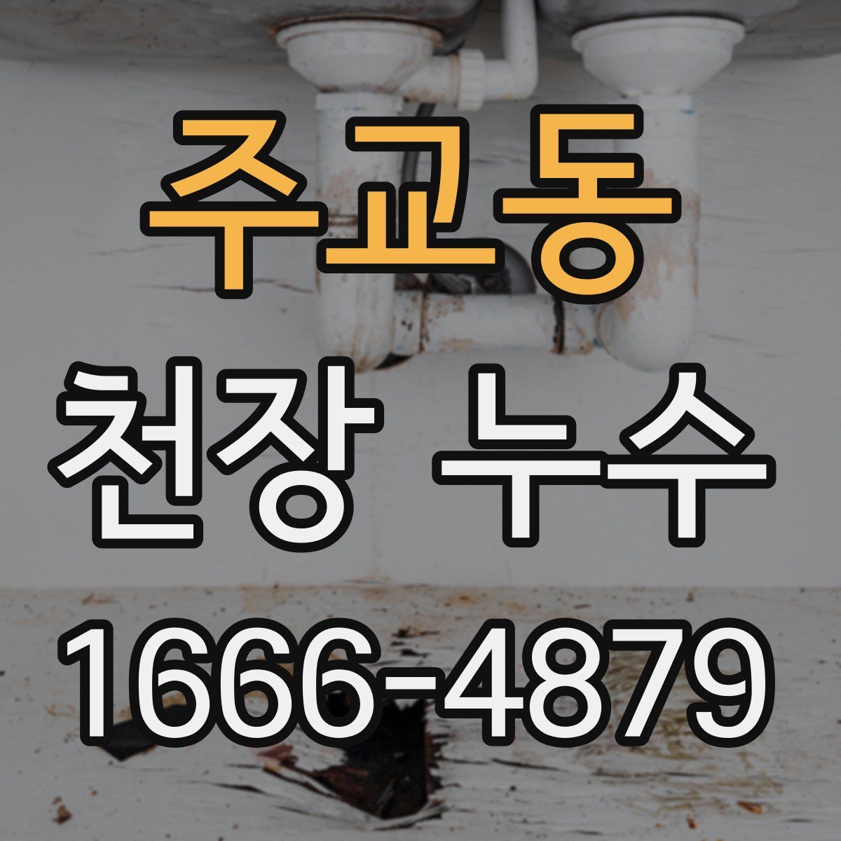 주교동 천장 누수
