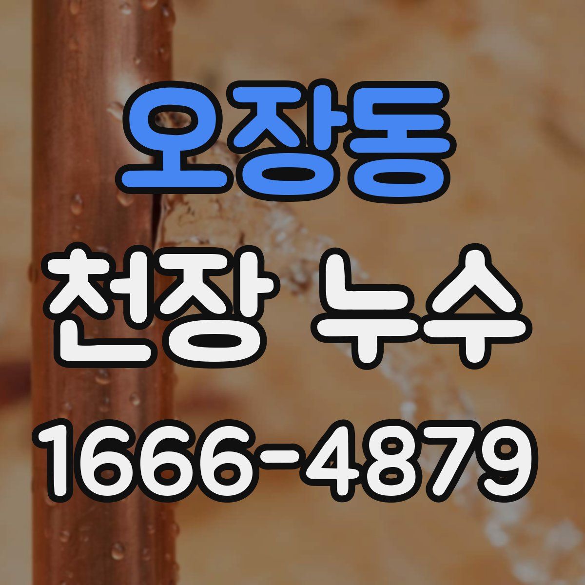 오장동 천장 누수