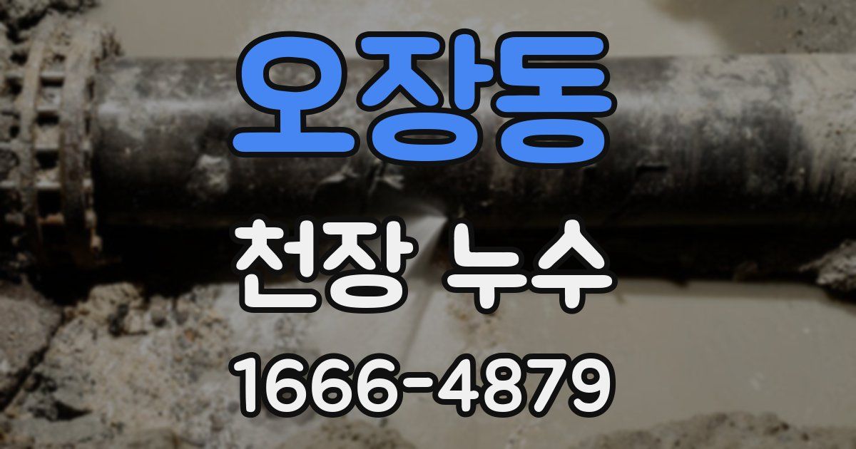 오장동 천장 누수