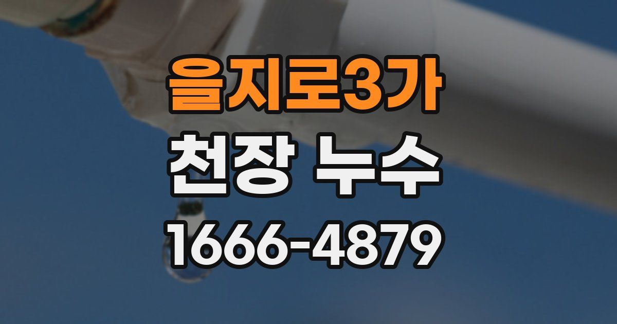 을지로3가 천장 누수