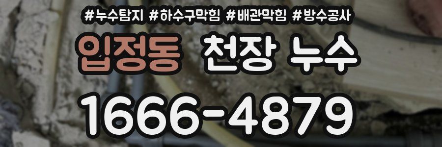 입정동 천장 누수