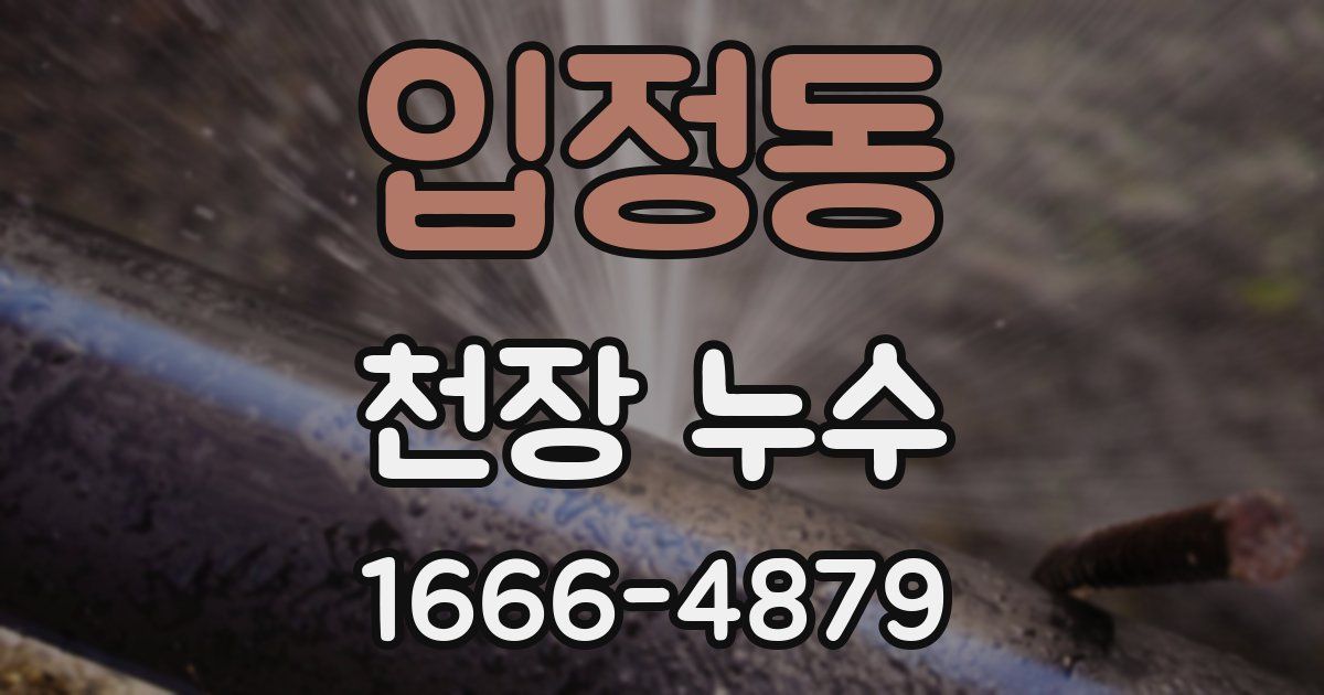 입정동 천장 누수
