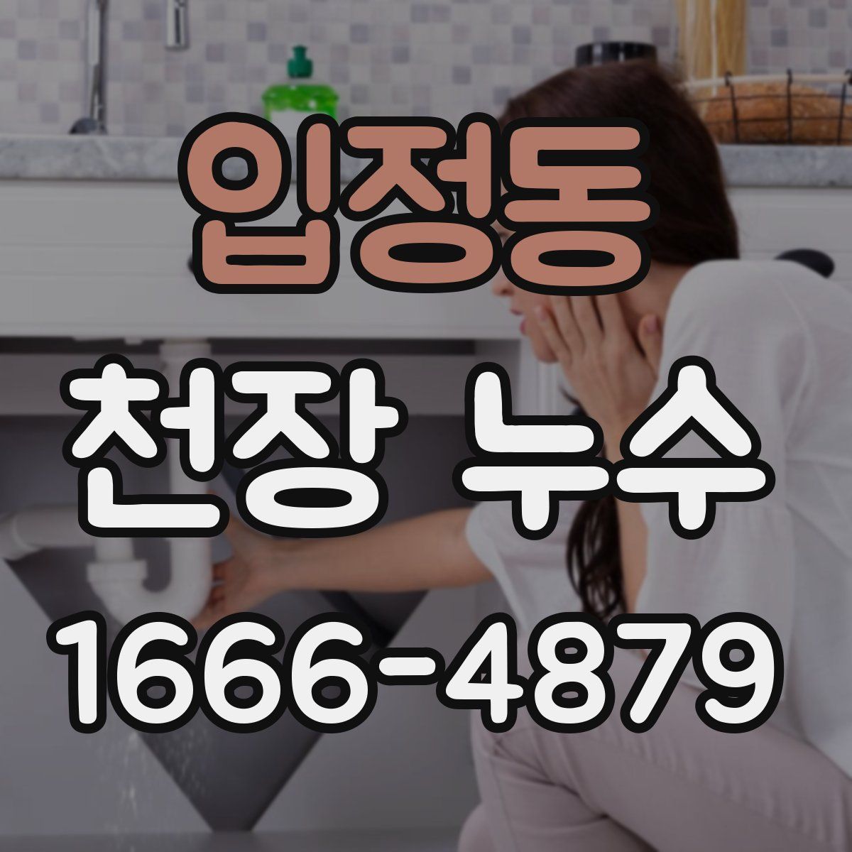 입정동 천장 누수