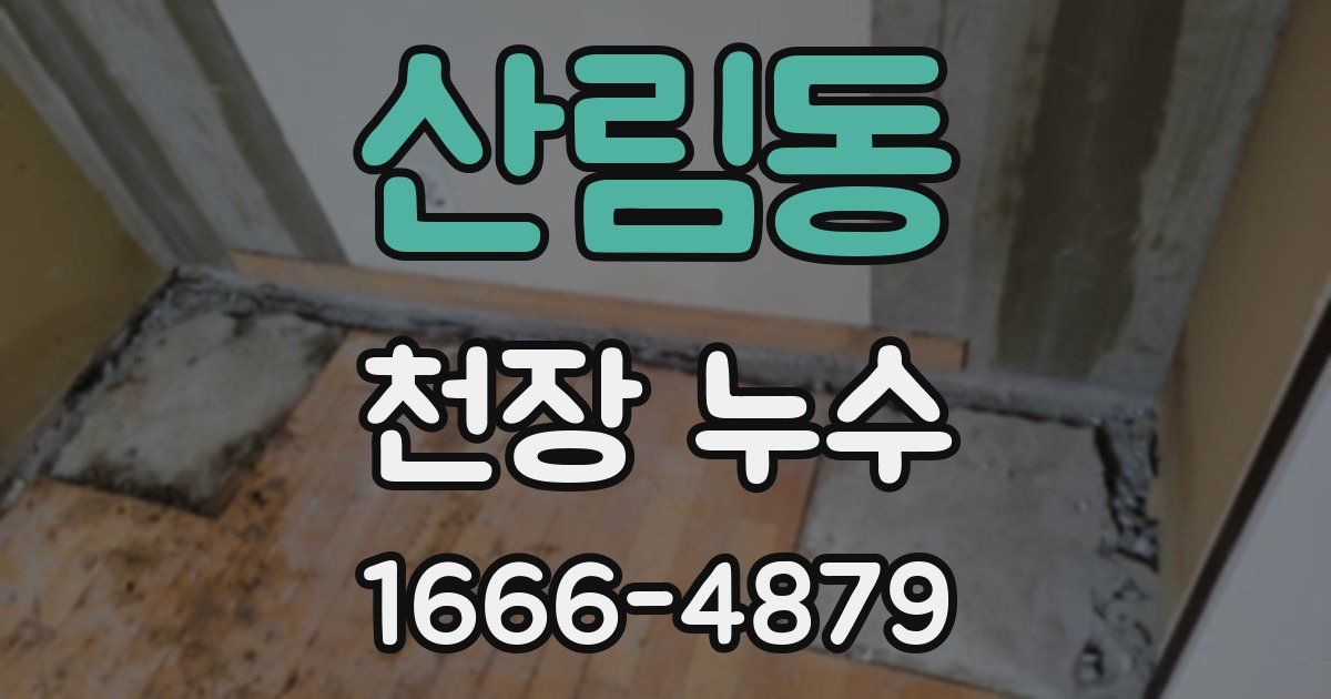 산림동 천장 누수