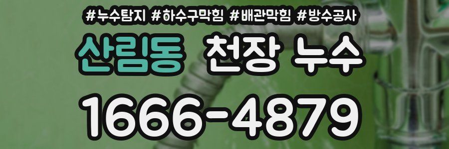 산림동 천장 누수