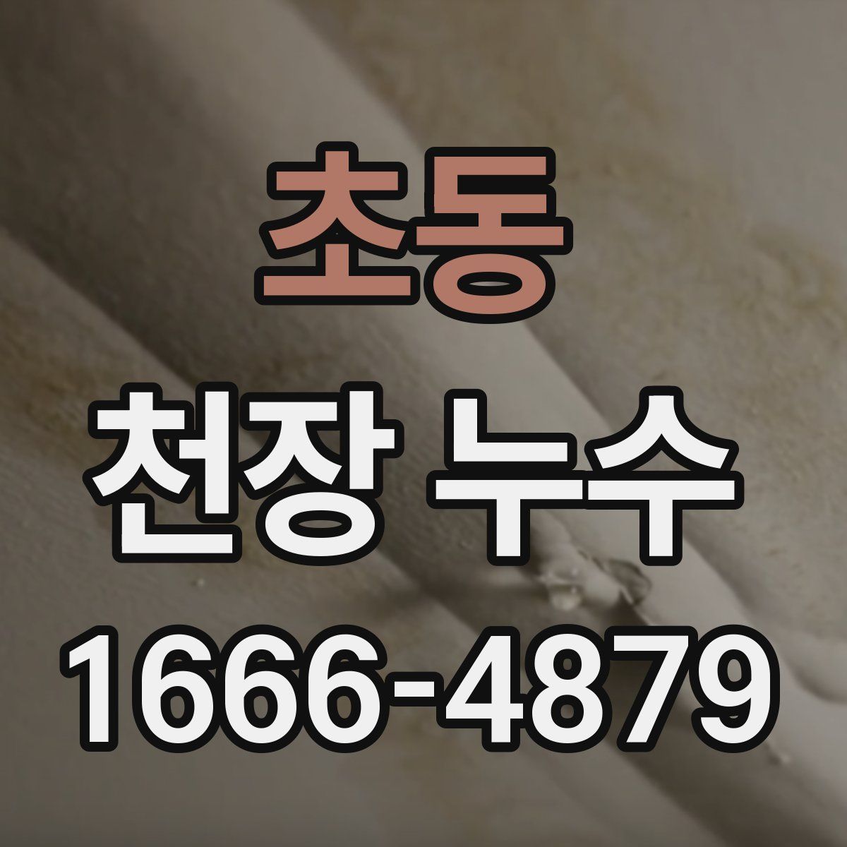 초동 천장 누수