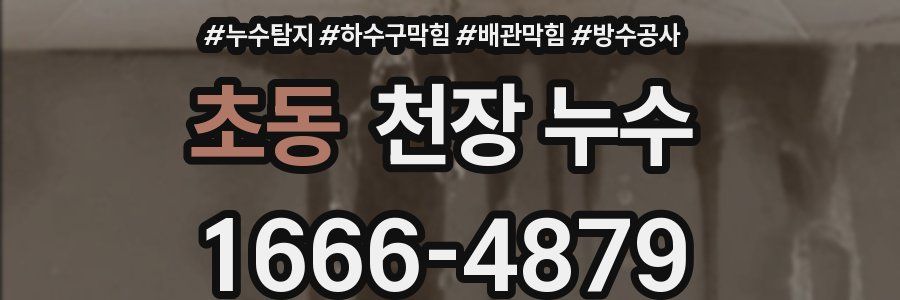 초동 천장 누수