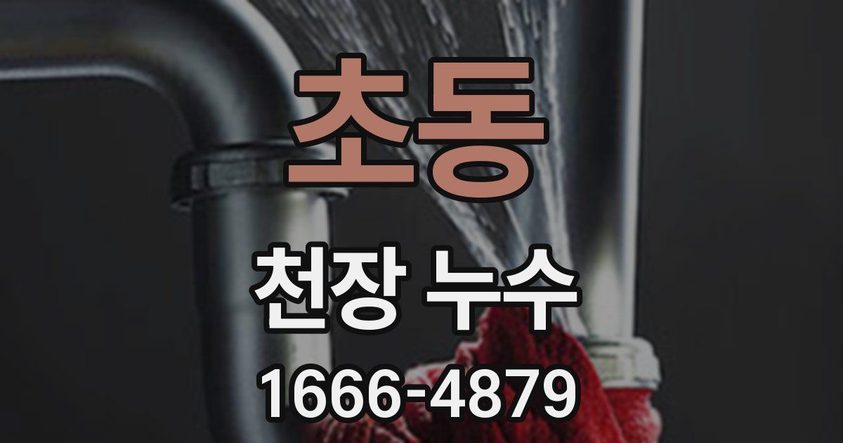 초동 천장 누수