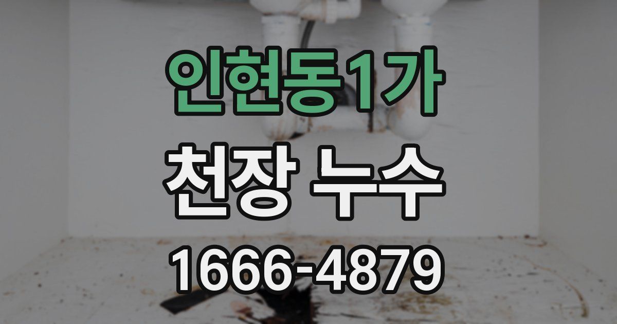 인현동1가 천장 누수