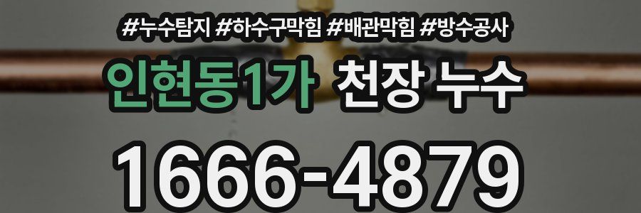 인현동1가 천장 누수