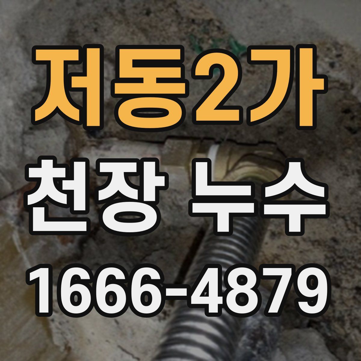 저동2가 천장 누수
