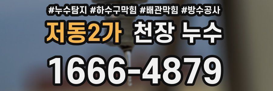 저동2가 천장 누수