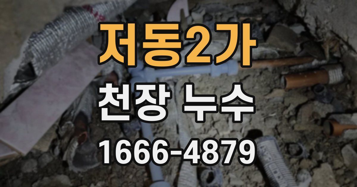 저동2가 천장 누수