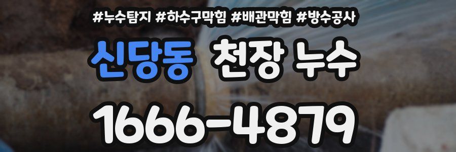 신당동 천장 누수