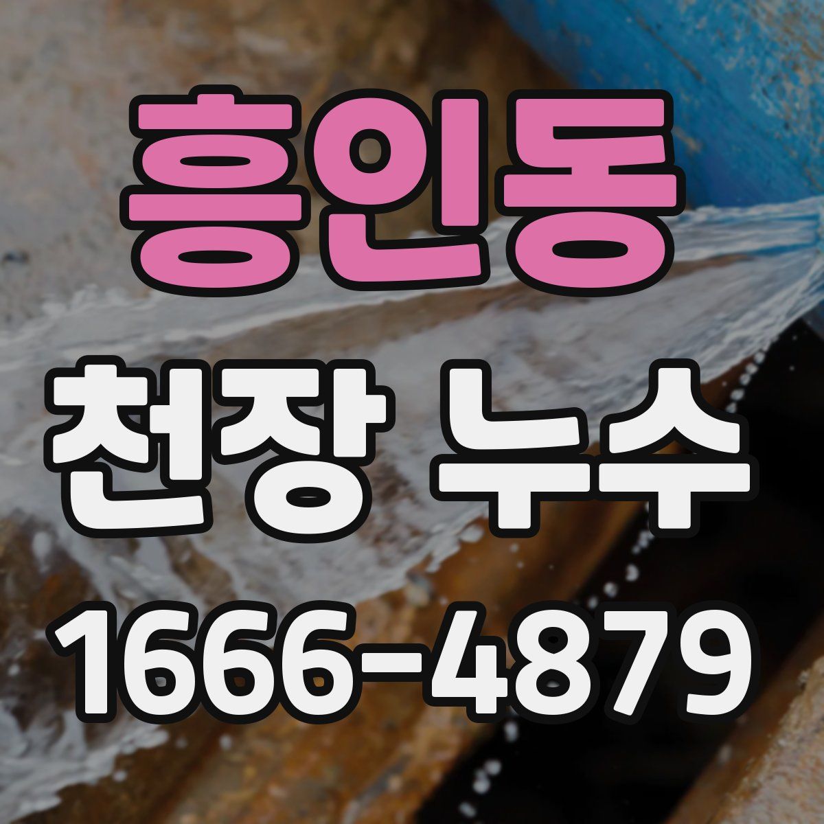 흥인동 천장 누수