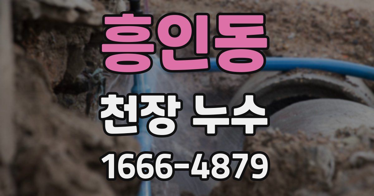 흥인동 천장 누수