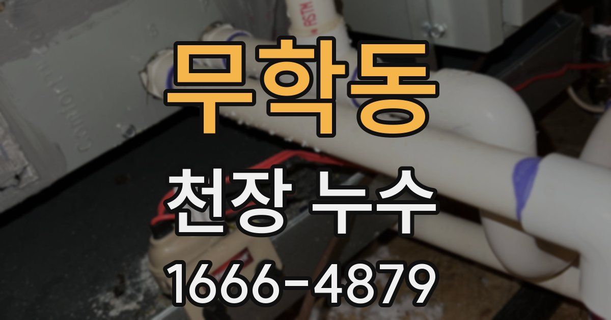 무학동 천장 누수