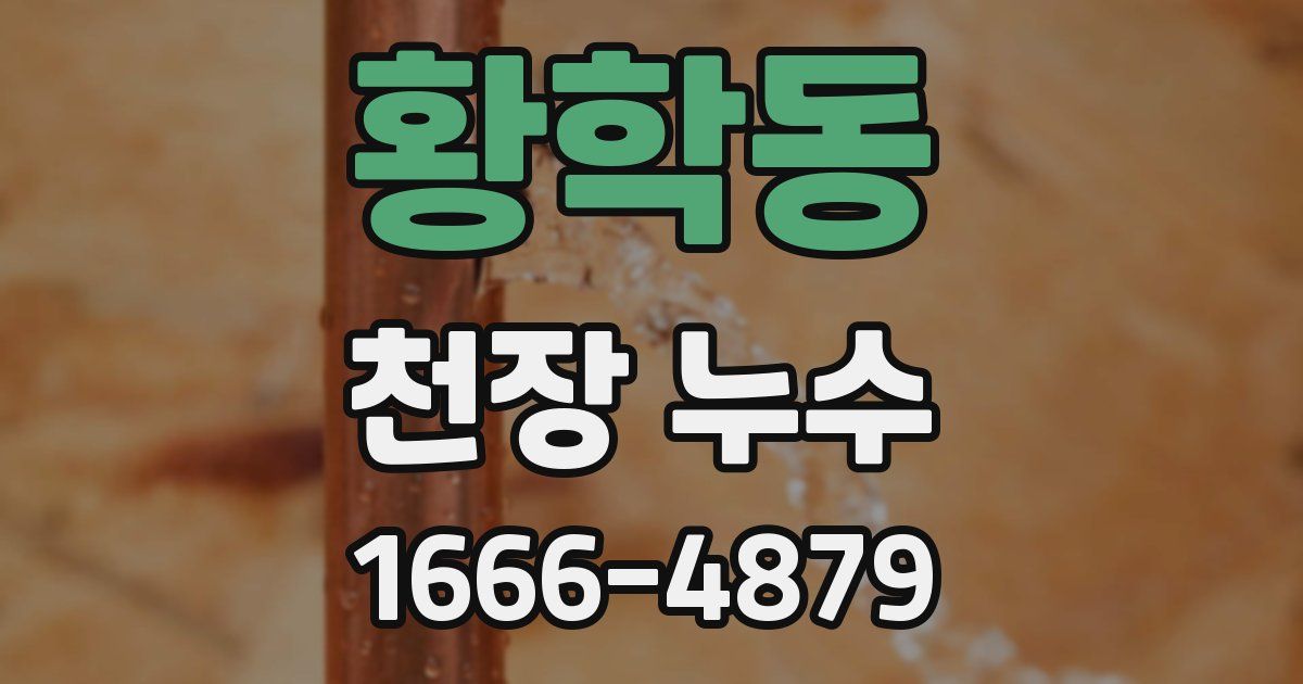 황학동 천장 누수