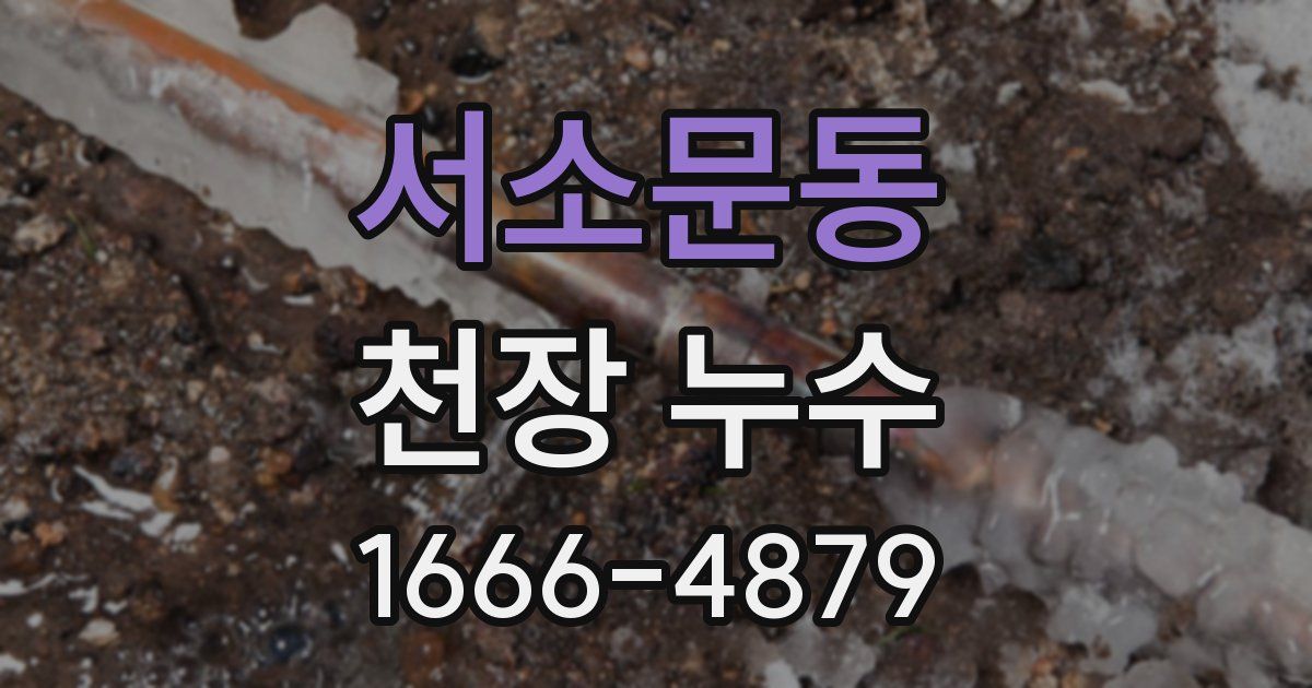 서소문동 천장 누수