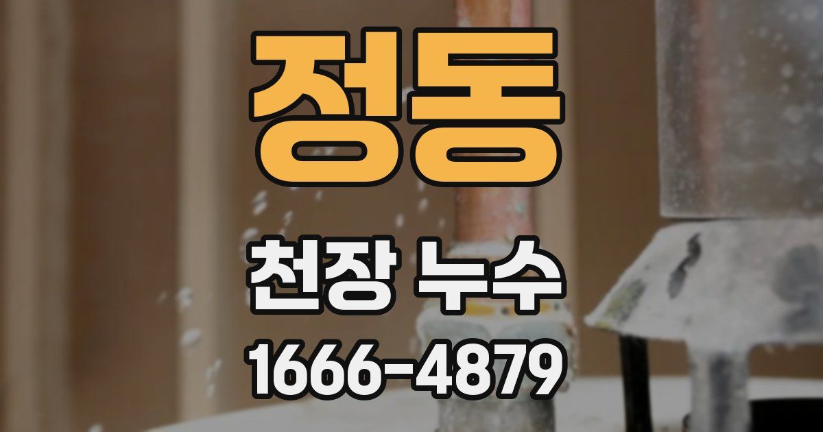 정동 천장 누수