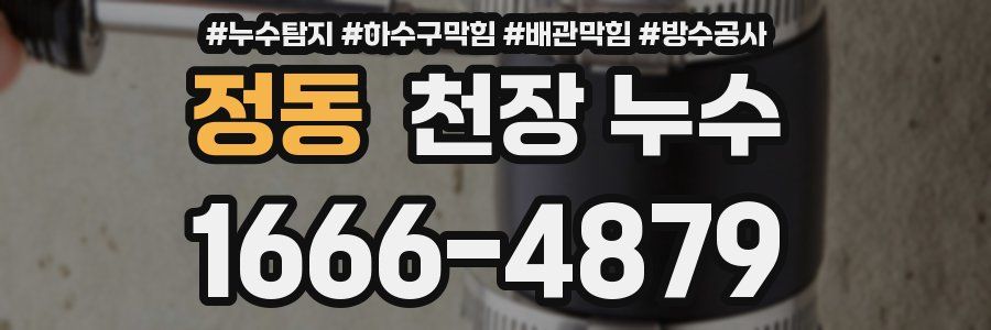 정동 천장 누수
