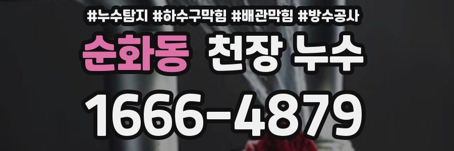 순화동 천장 누수