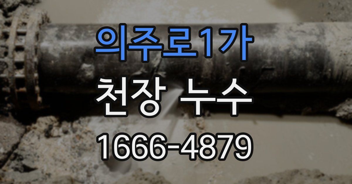 의주로1가 천장 누수