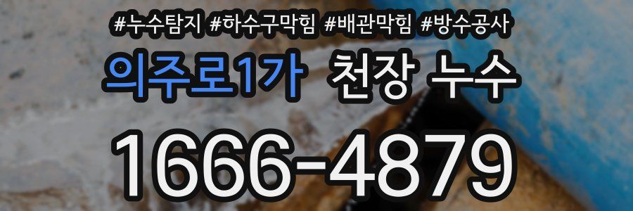 의주로1가 천장 누수