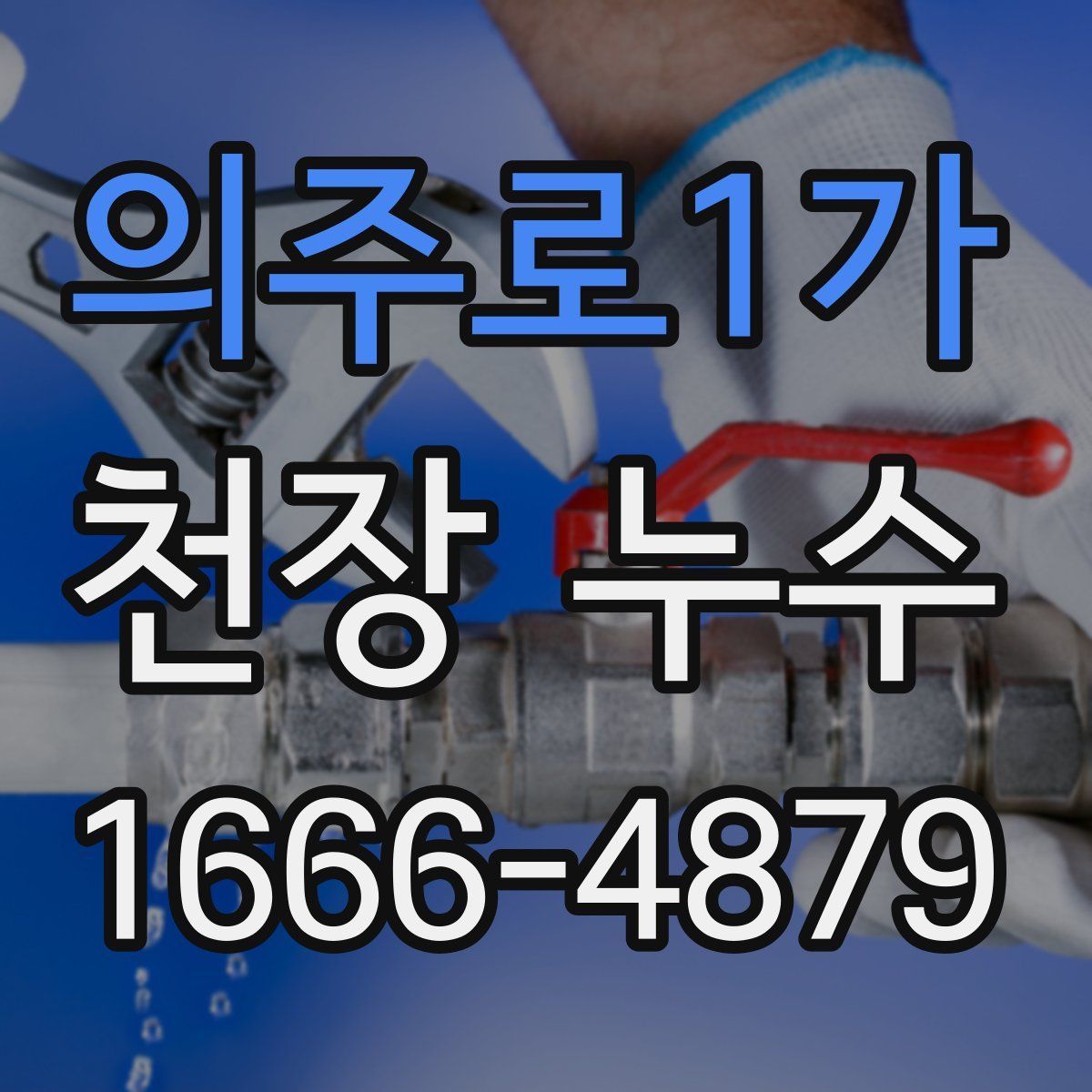 의주로1가 천장 누수
