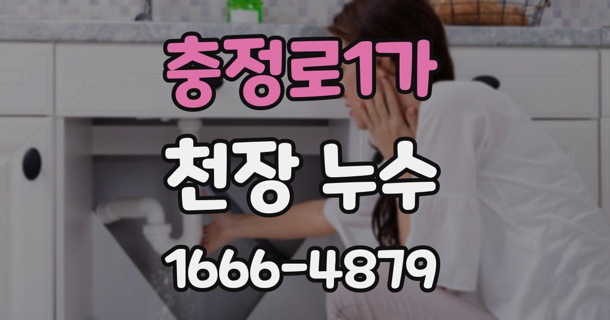 충정로1가 천장 누수