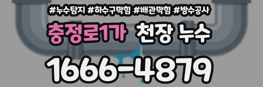 충정로1가 천장 누수