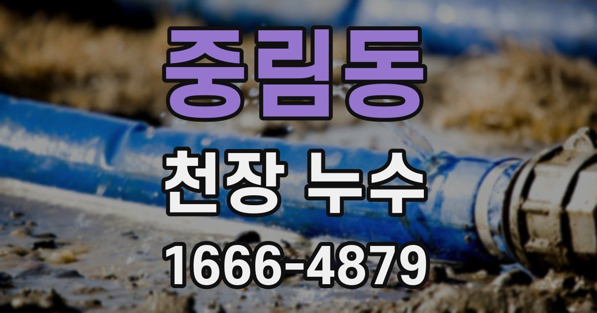 중림동 천장 누수
