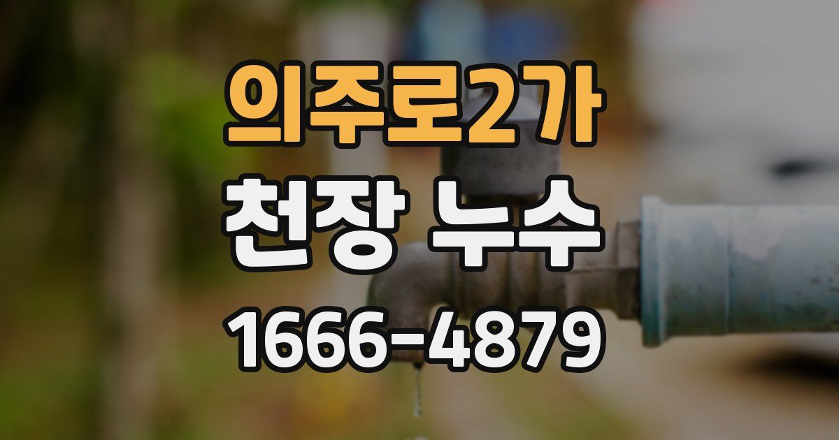 의주로2가 천장 누수