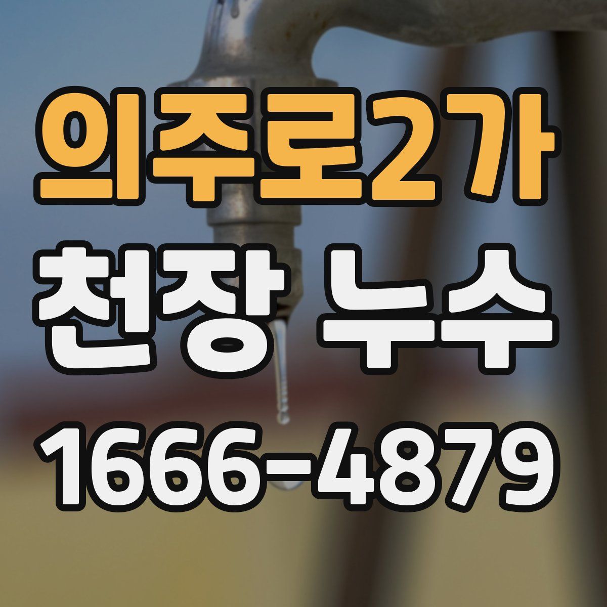 의주로2가 천장 누수