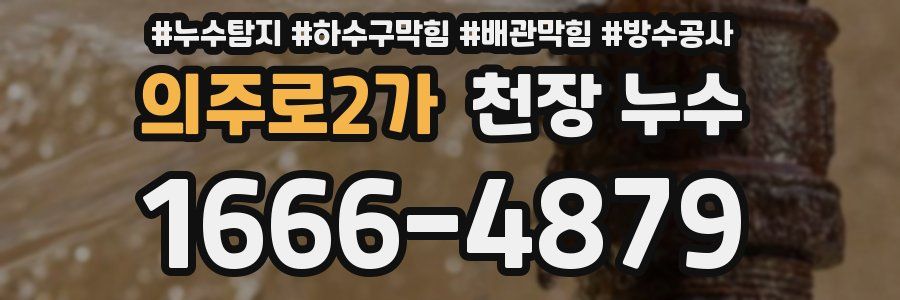 의주로2가 천장 누수