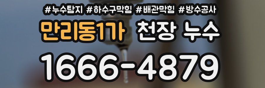 만리동1가 천장 누수