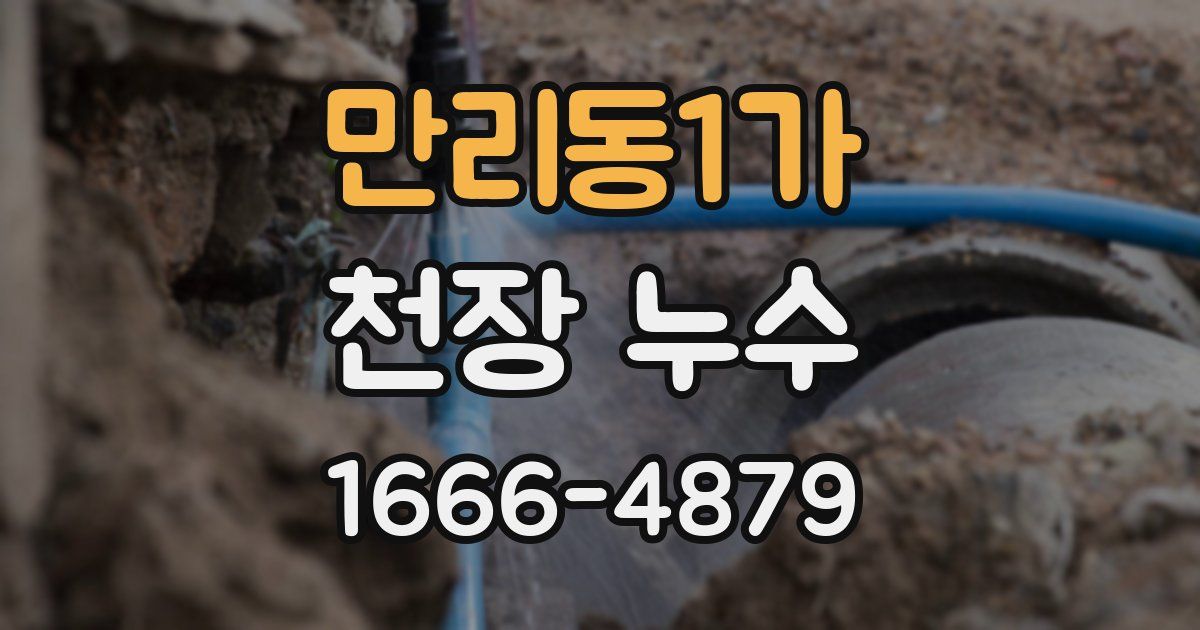 만리동1가 천장 누수