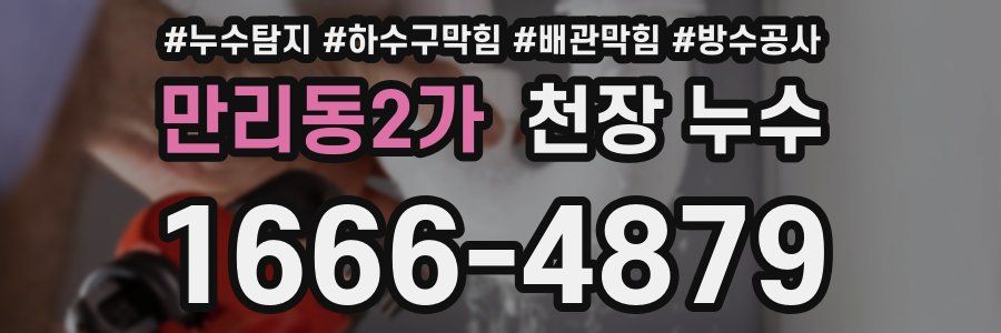 만리동2가 천장 누수