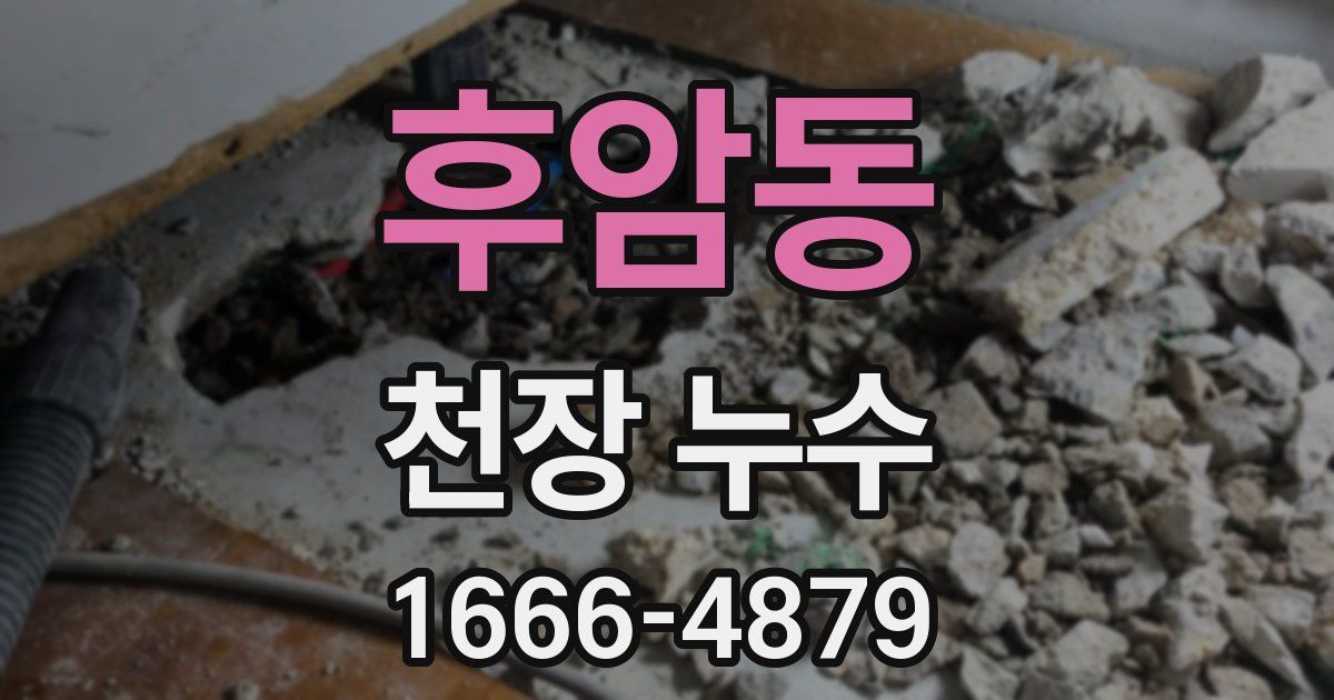 후암동 천장 누수